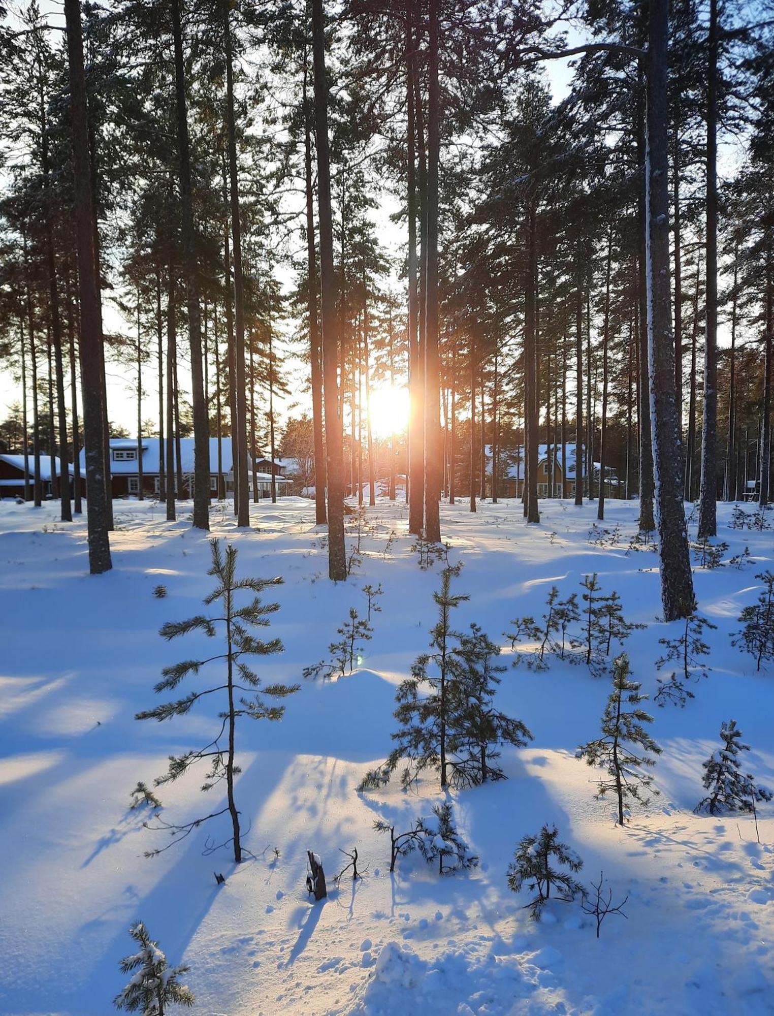 Charmigt Hus Och Mysigt Boende! Hudiksvall Luaran gambar